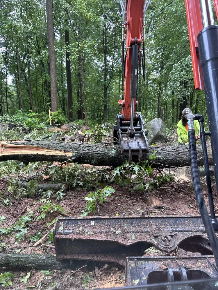 Trusted yard maintenance in Reading, PA - Apexx Industries