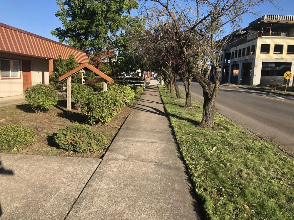 Professional yard cleanup service experts serving Stayton, OR - APG Enterprises