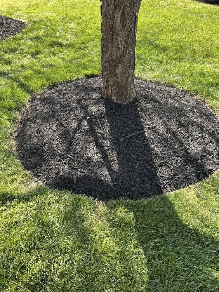 Expert garden landscaping for homes in Rock Hill, SC by Apg Lawn Care Services