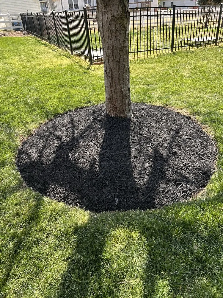 Professional residential landscaping in Rock Hill, SC - Apg Lawn Care Services