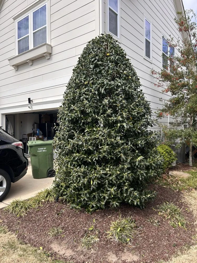 Custom outdoor landscaping experts serving Rock Hill, SC - Apg Lawn Care Services