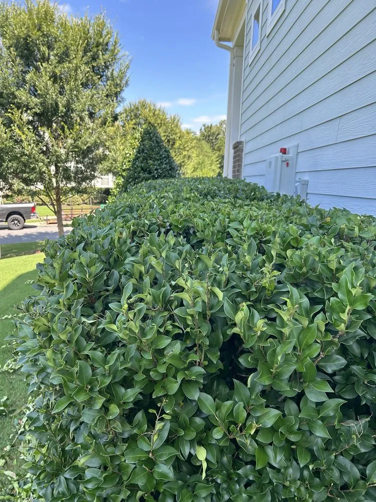 Affordable landscape design in Rock Hill, SC - Apg Lawn Care Services