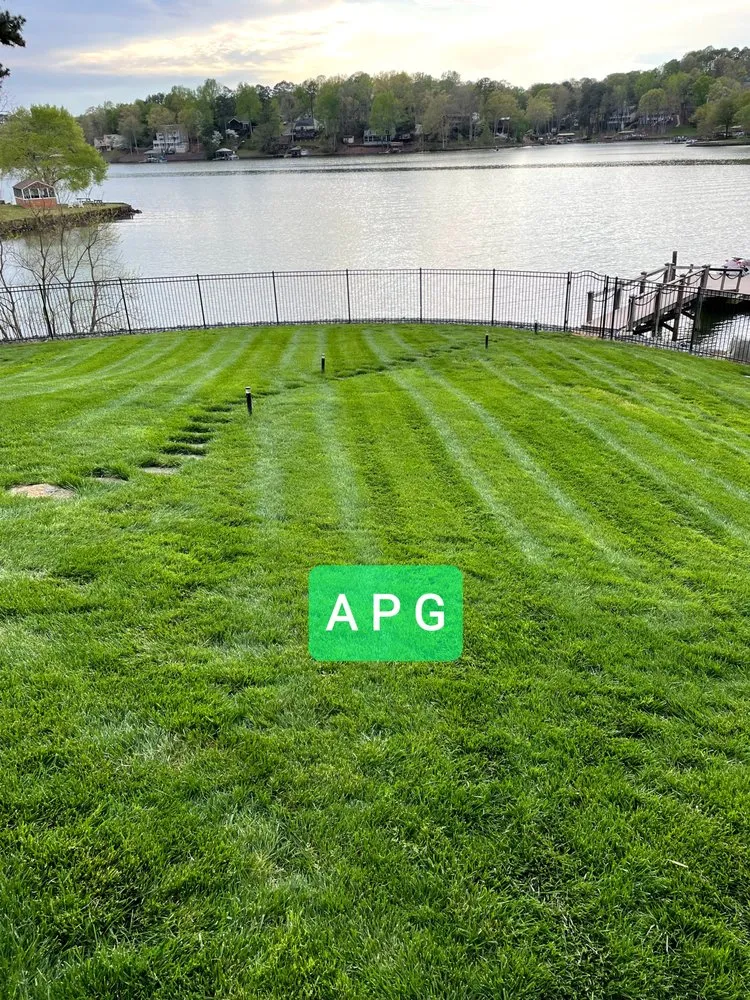 Local yard maintenance for homes in Rock Hill, SC by Apg Lawn Care Services