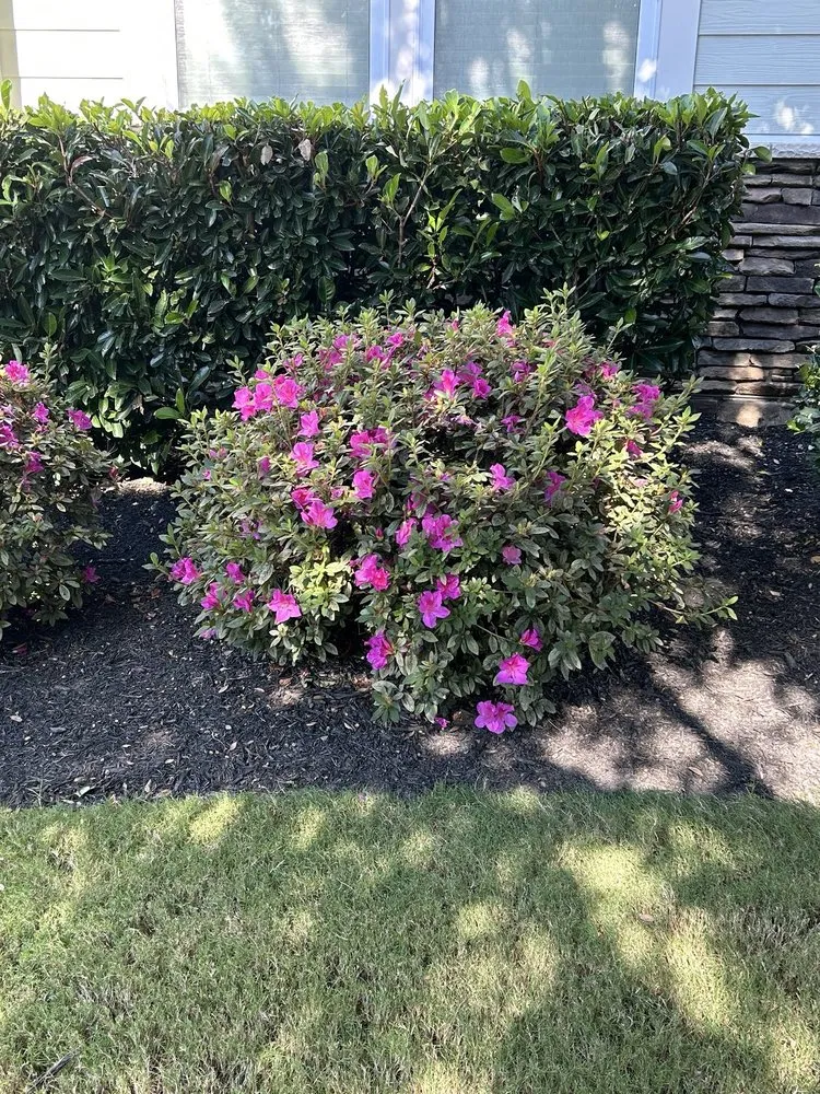 Affordable lawn mowing service experts serving Rock Hill, SC - Apg Lawn Care Services