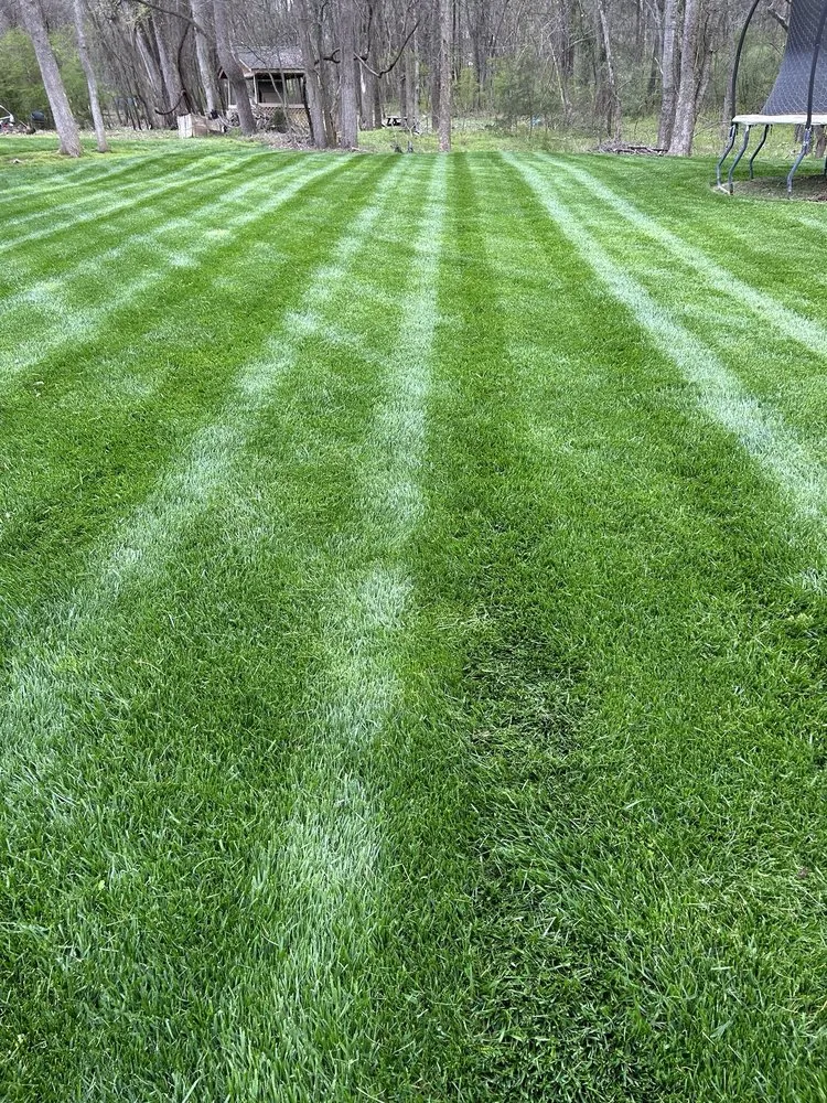 Custom residential landscaping for year-round maintenance across Rock Hill, SC - Apg Lawn Care Services