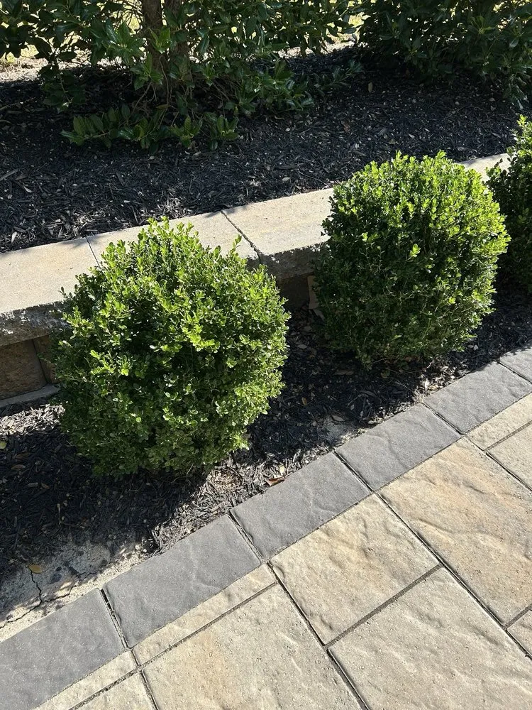 Custom residential landscaping for outdoor upgrades in Rock Hill, SC by Apg Lawn Care Services