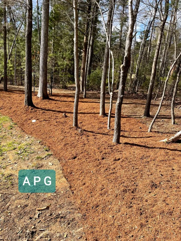 Professional landscape installation for residential properties across Rock Hill, SC - Apg Lawn Care Services