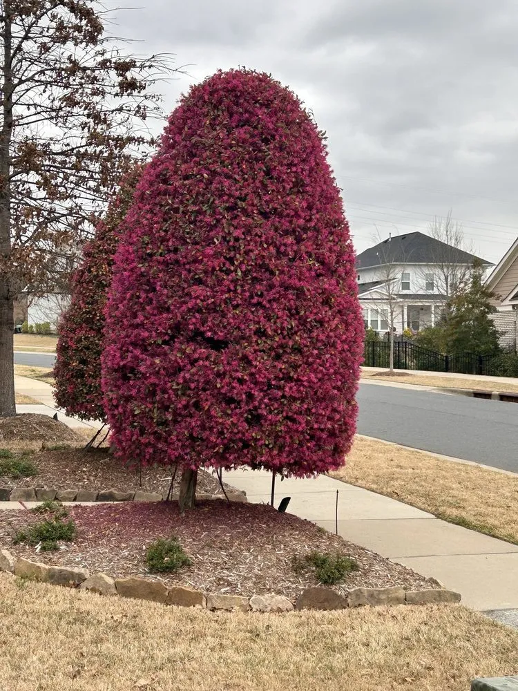 Reliable lawn mowing service for outdoor upgrades across Rock Hill, SC - Apg Lawn Care Services