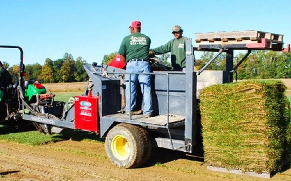 Custom yard maintenance for outdoor upgrades across Smyrna, DE - Apgar Turf Farm