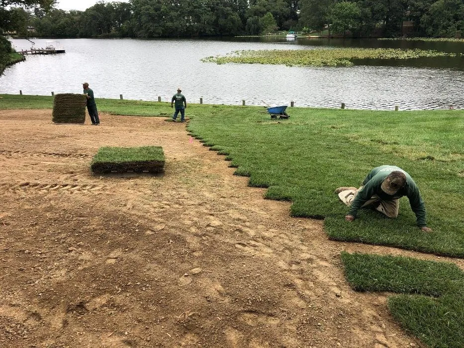 Trusted yard maintenance experts serving Smyrna, DE - Apgar Turf Farm
