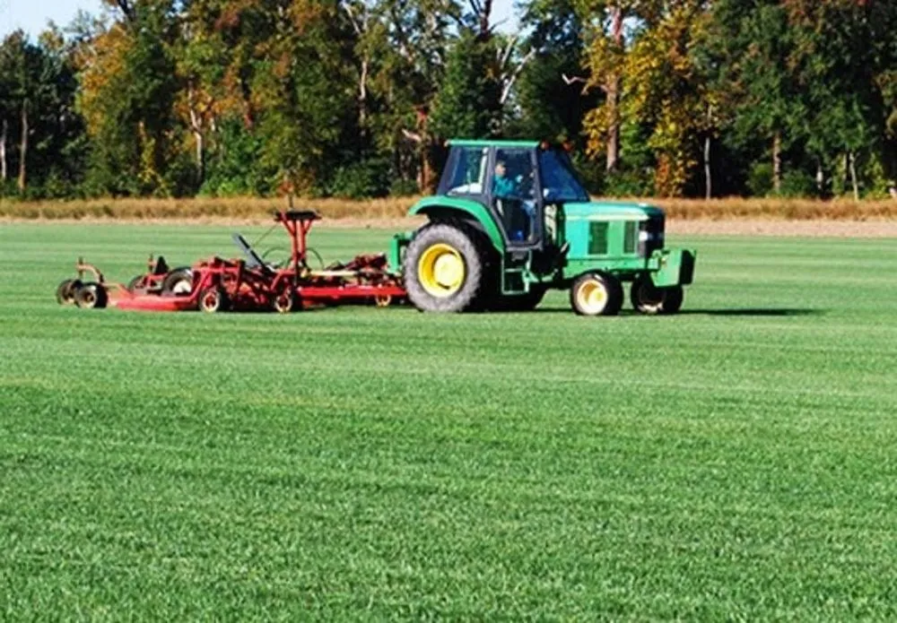 Custom landscaping services in Smyrna, DE by Apgar Turf Farm