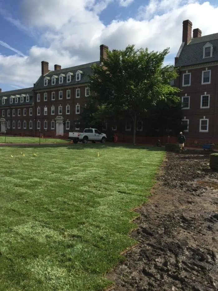 Affordable landscape installation with custom design in Smyrna, DE by Apgar Turf Farm