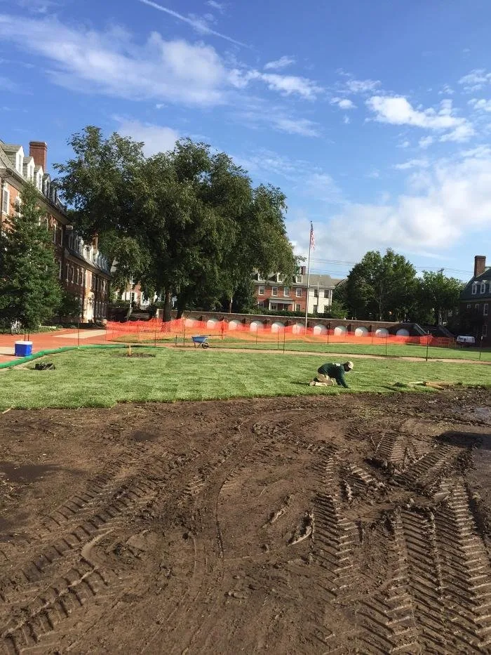 Custom lawn mowing service experts serving Smyrna, DE - Apgar Turf Farm