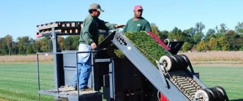 Local yard cleanup service in Smyrna, DE - Apgar Turf Farm