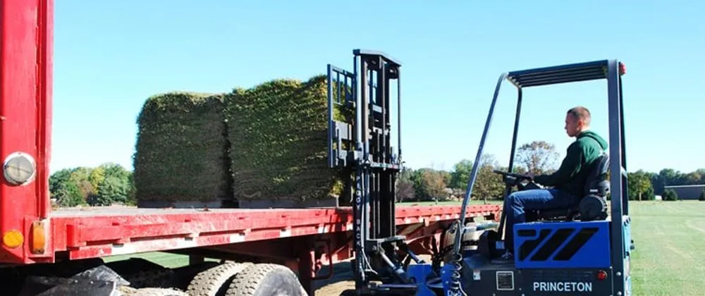 Affordable lawn care service in Smyrna, DE - Apgar Turf Farm