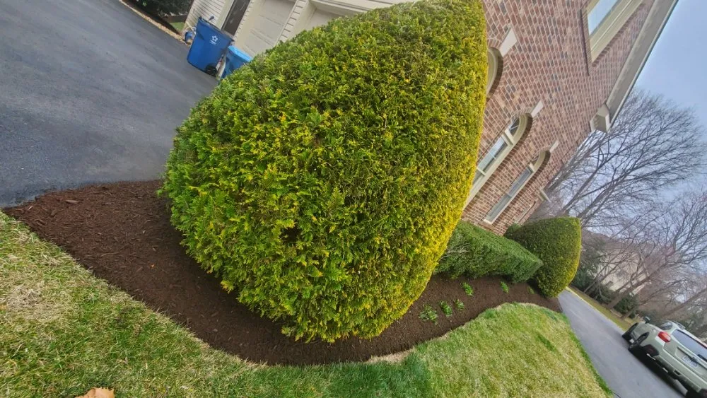 Trusted landscape installation experts serving Manassas, VA - APH Landscape & Hardscape Solutions