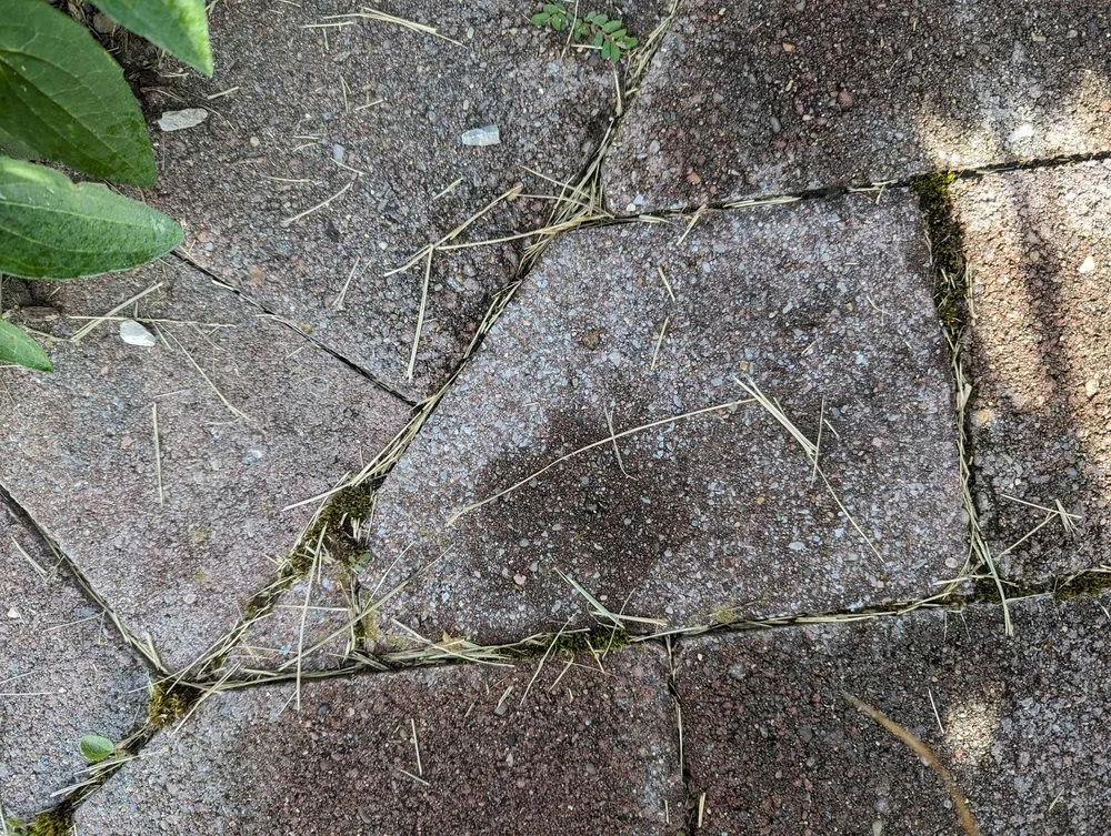 Expert lawn care service experts serving Frankfort, KY - Aphix