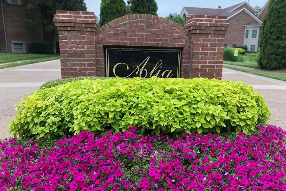 Local yard maintenance experts serving Frankfort, KY - Aphix