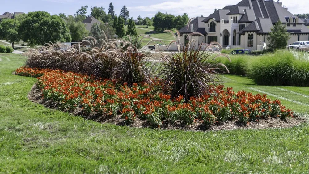 Local residential landscaping for outdoor upgrades in Frankfort, KY by Aphix