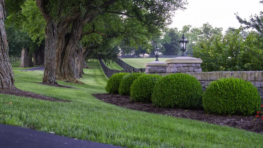 Trusted yard maintenance for year-round maintenance across Frankfort, KY - Aphix