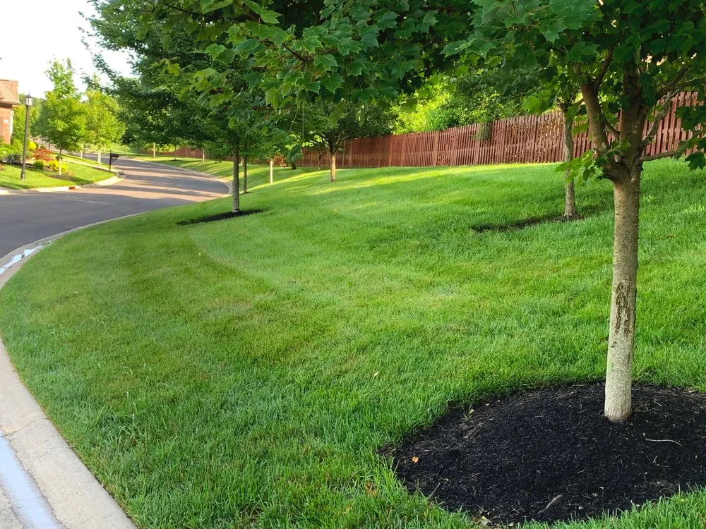 Affordable garden landscaping in Frankfort, KY by Aphix