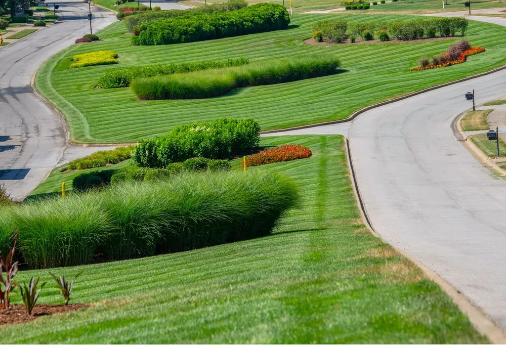 Reliable landscape design experts serving Frankfort, KY - Aphix