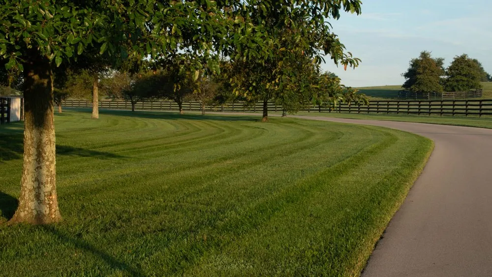 Custom landscape installation for year-round maintenance across Frankfort, KY - Aphix