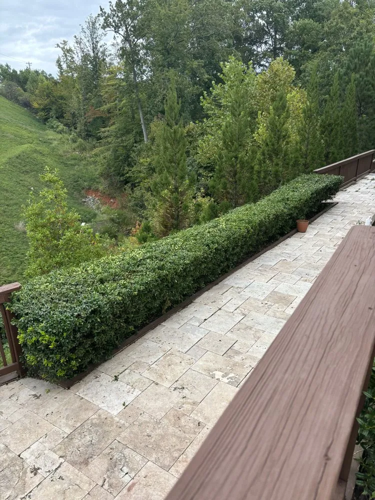 Top-rated lawn care service experts serving Dahlonega, GA - API Landscaping and Hardscapes