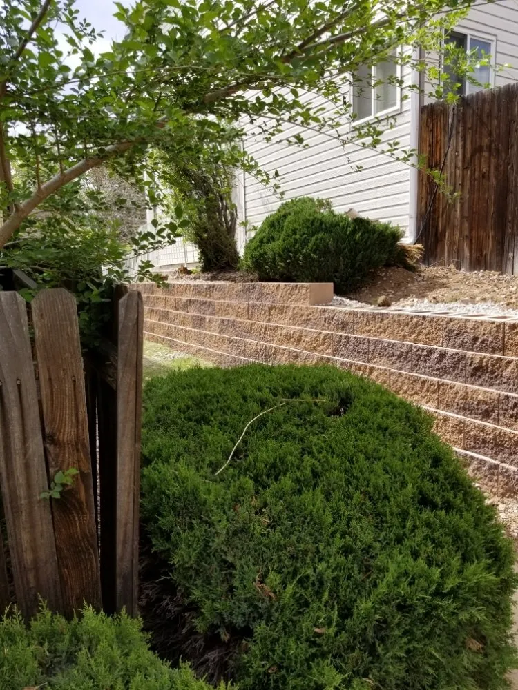 Reliable yard maintenance in Denver, CO by API Services