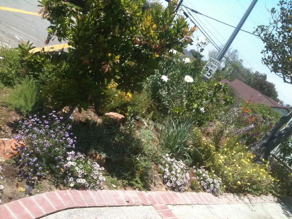 Trusted landscape installation experts serving Lompoc, CA - Apiana Native Landscaping