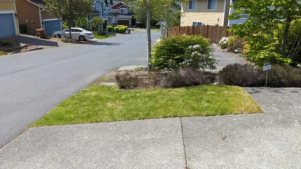 Custom yard cleanup service in Snohomish, WA - APJ Landscaping