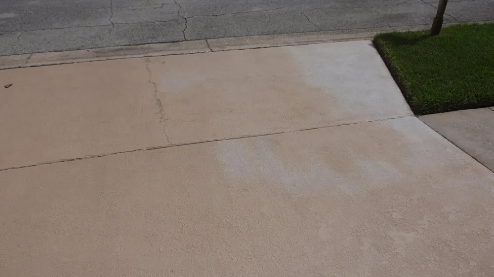 Professional landscape installation in St. Petersburg, FL - APL Lawn Spraying