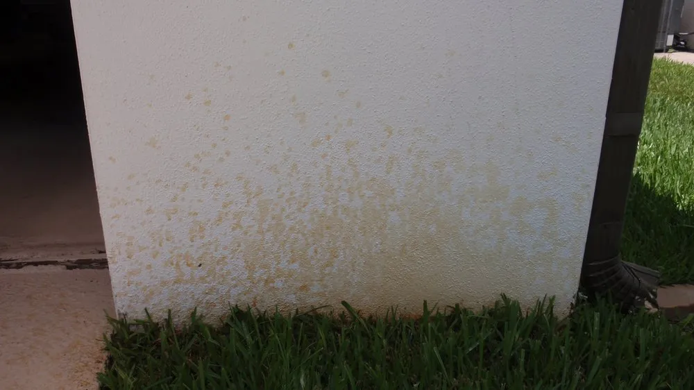 Professional residential landscaping for year-round maintenance across St. Petersburg, FL - APL Lawn Spraying