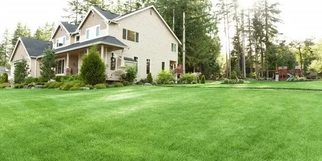 Top-rated lawn care service experts serving Palmyra, TN - Aplus Landscaping