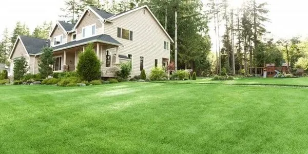 Aplus Landscaping