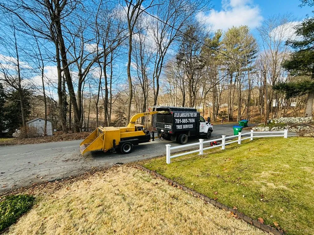 Top-rated yard maintenance in South Easton, MA by Aplus Landscaping Tree Corp