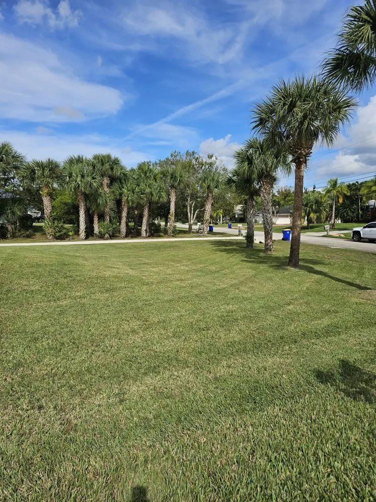 Professional garden landscaping experts serving Stuart, FL - Aplus lawns