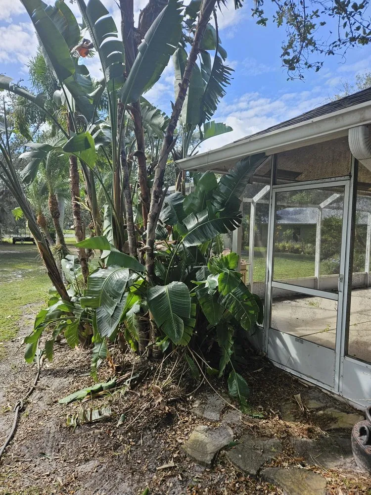 Expert landscape design for homes in Stuart, FL by Aplus lawns