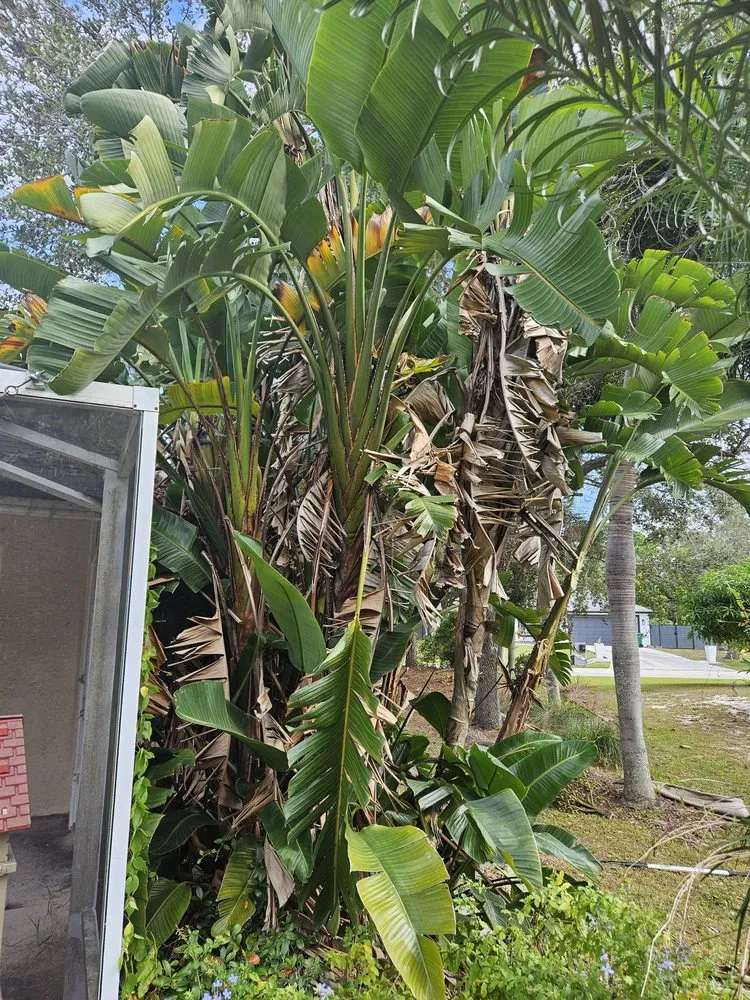 Top-rated garden landscaping near you in Stuart, FL by Aplus lawns