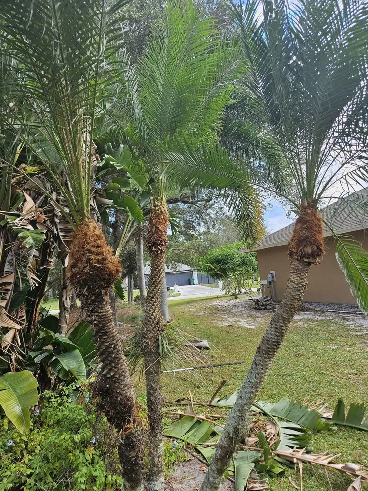 Trusted outdoor landscaping in Stuart, FL by Aplus lawns