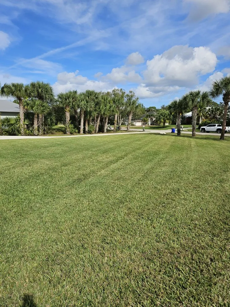 Top-rated landscape installation experts serving Stuart, FL - Aplus lawns