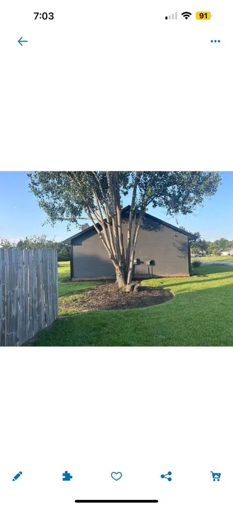 Local yard cleanup service for year-round maintenance in Spring Lake, NC by APlus Landscapes and maintenance