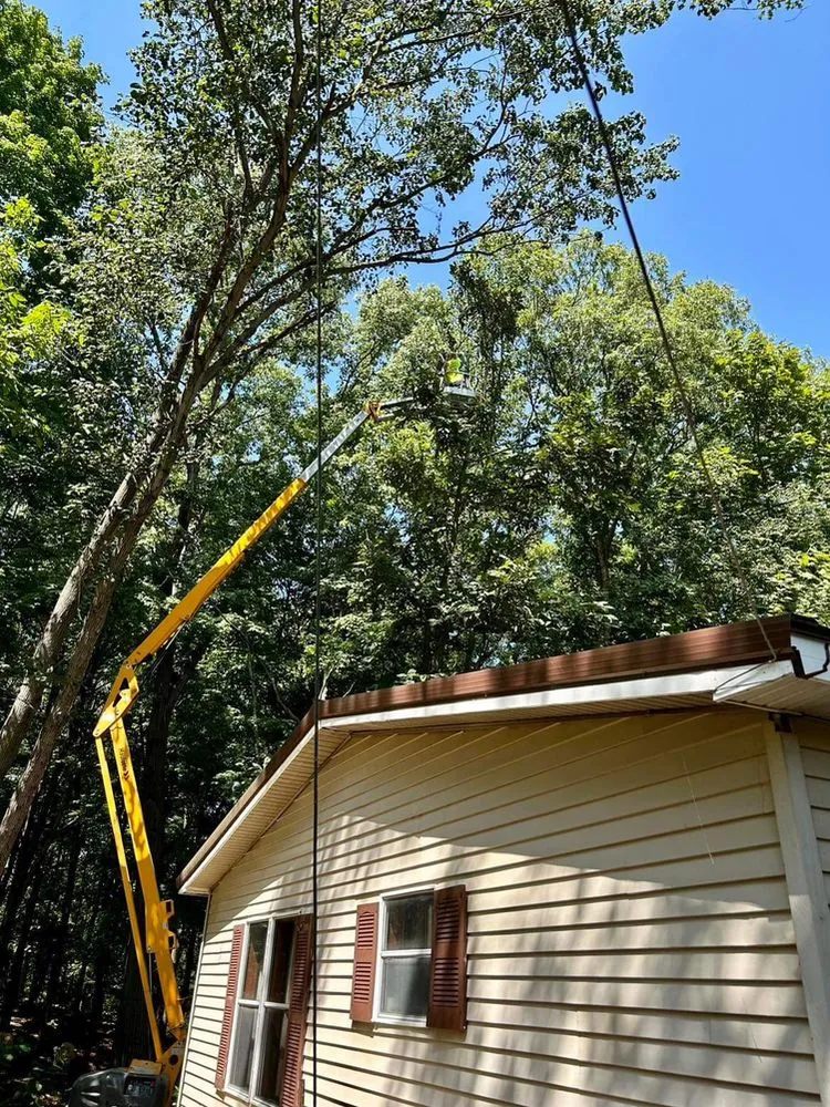 Professional landscape installation with custom design in Louisville, IL by APM Tree Service