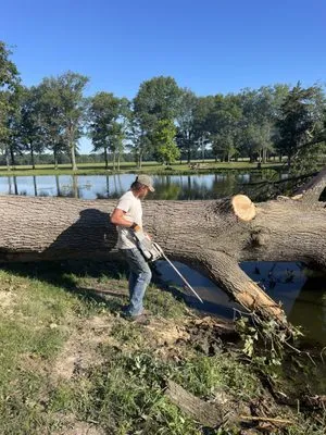 APM Tree Service
