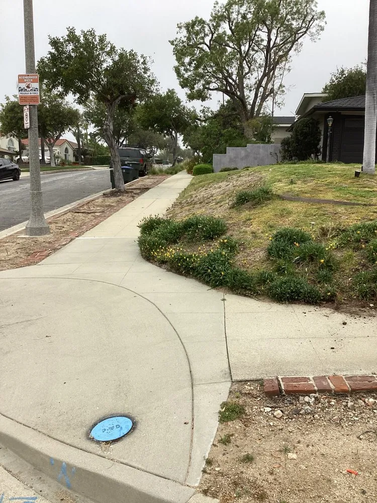 Local landscape installation experts serving South San Jose Hills, CA - APN Landscaping