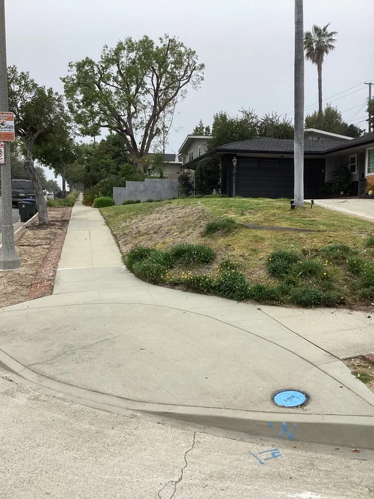 Expert lawn mowing service experts serving South San Jose Hills, CA - APN Landscaping