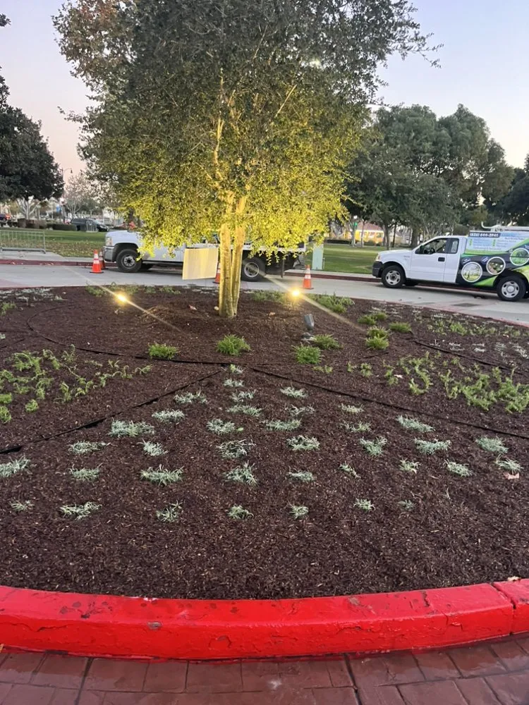 Local residential landscaping for year-round maintenance across South San Jose Hills, CA - APN Landscaping