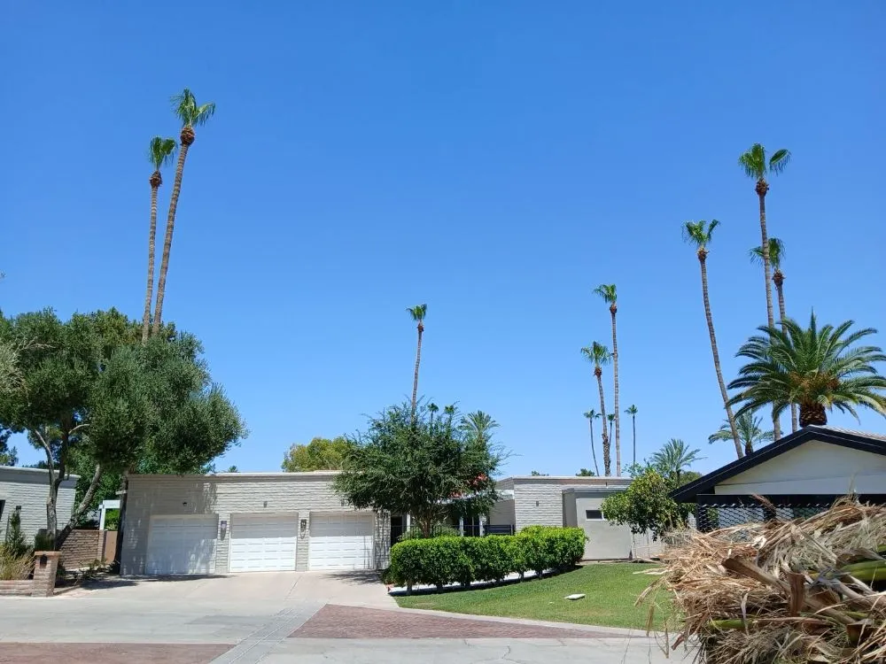 Reliable landscape design experts serving Phoenix, AZ - Apodaca's Landscaping Services