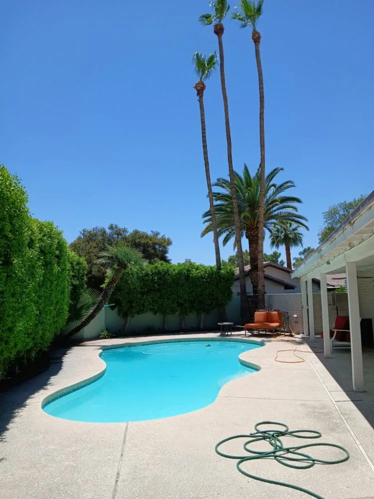 Professional outdoor landscaping in Phoenix, AZ - Apodaca's Landscaping Services