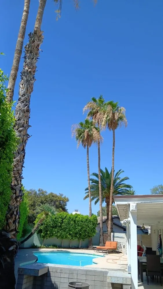 Professional landscape design in Phoenix, AZ by Apodaca's Landscaping Services